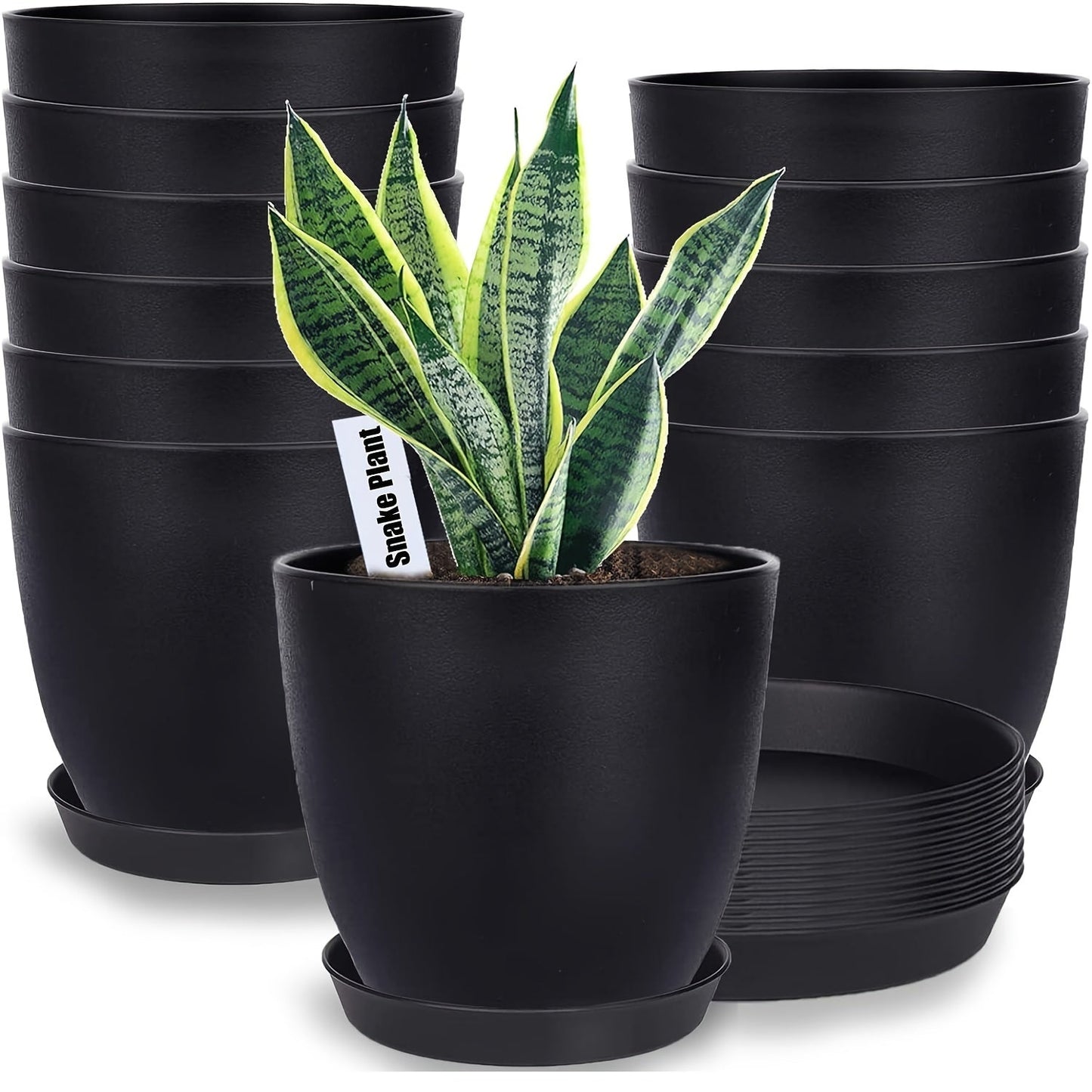 Carvallo-Set FloraCasa | 12-delad med underlägg | För inomhus & utomhus | Väderbeständig plast