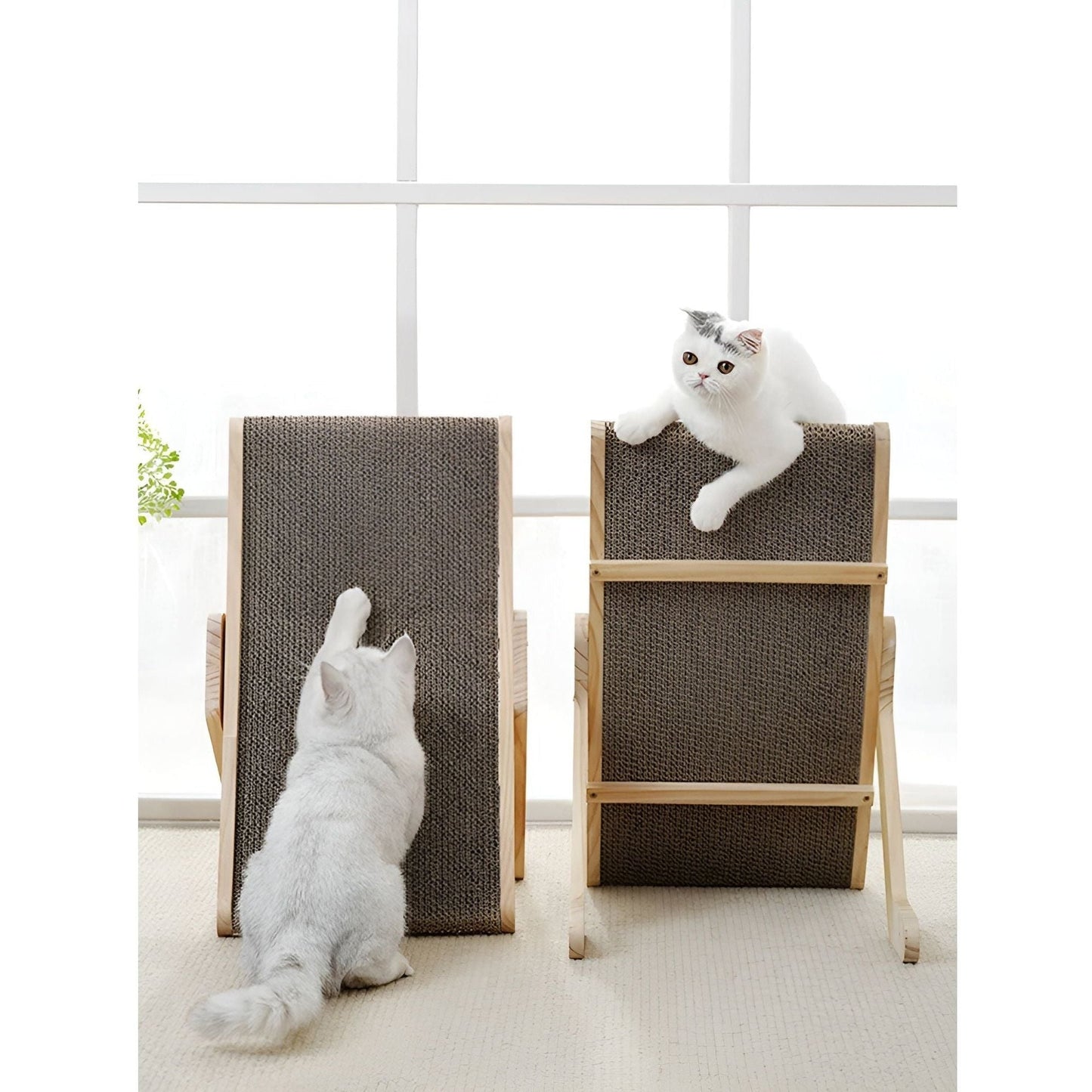 PurrPlay Bräda - Multifunktionell Avtagbar Katt Klösbräda gjord av Trä