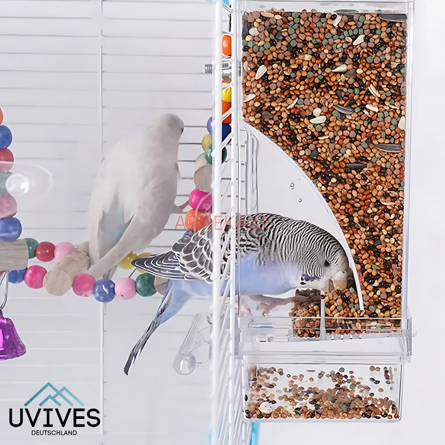 Carvallo – Ren utfodring, nöjda fåglar, mindre ansträngning