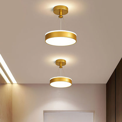 Stylish modern metal LED pendant lamps