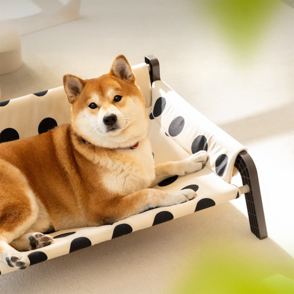 Polka Dot Frosted Suede Sommar Kyl Hundsäng Stilig Andningsbar