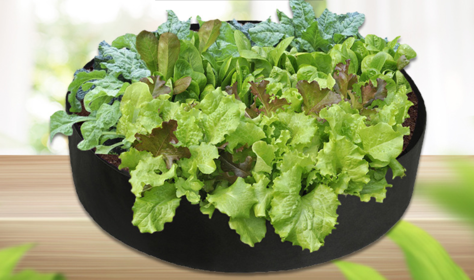 Rinder växttillväxtpåse – trädgårdskärl för enkel växttillväxt