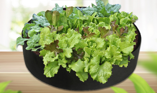 Rinder växttillväxtpåse – trädgårdskärl för enkel växttillväxt