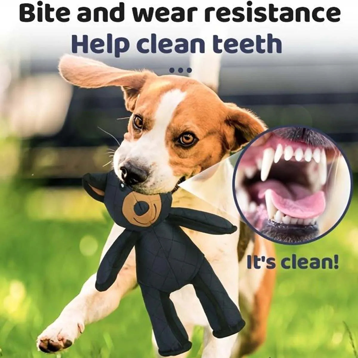 Indestructibla &amp; Interaktiva Björn Hundleksaker För Tunga Tuggar