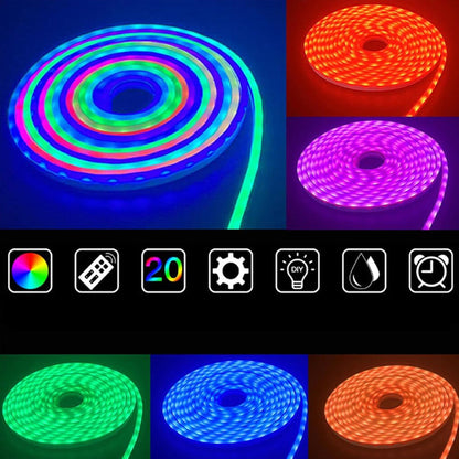 Carvallo - Luminös musik neonslang