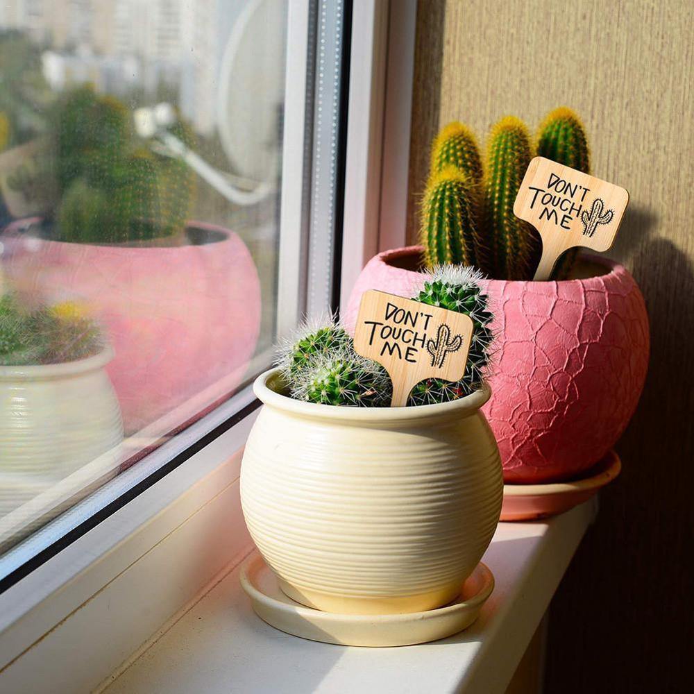 Carvallo – Växtskyltar av bambu för trädgård & dekoration