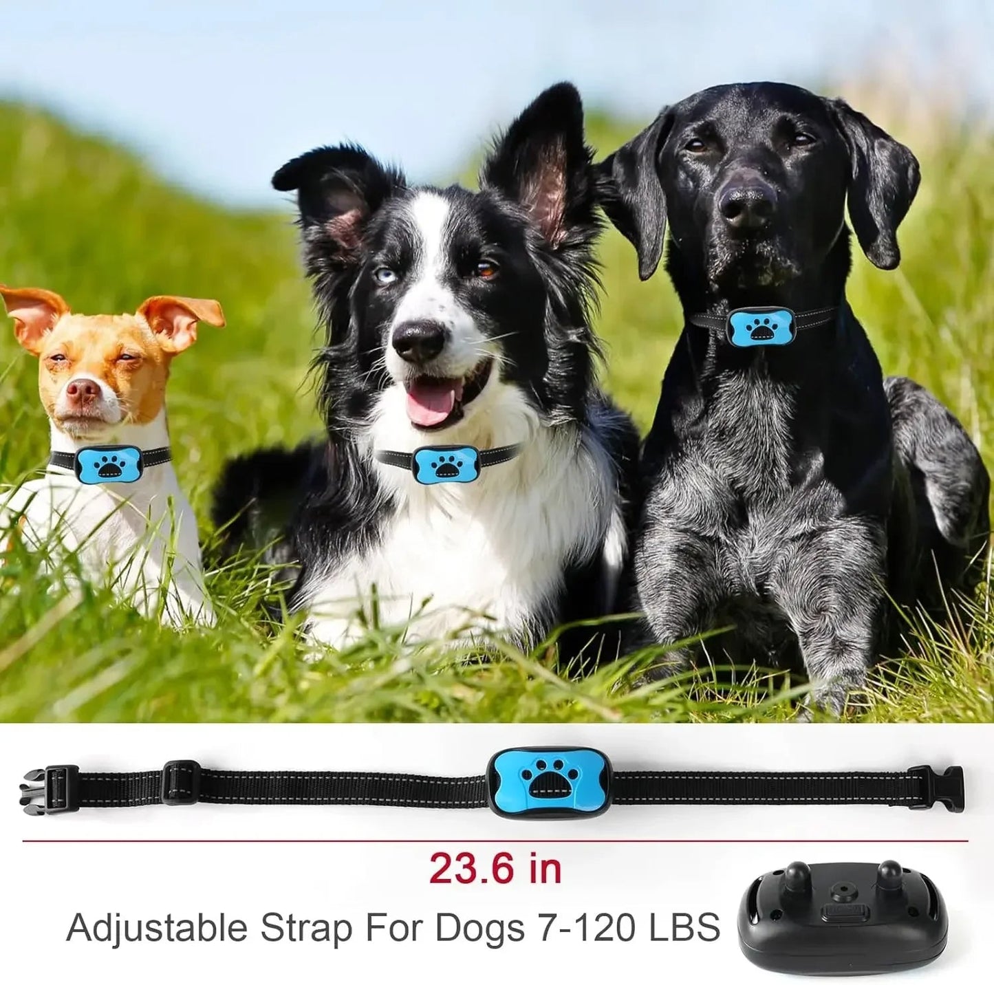 BarkBuddy Anti-Bark Hundhalsband