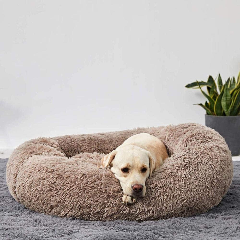 Ortopedisk Plush Donut Hundsäng