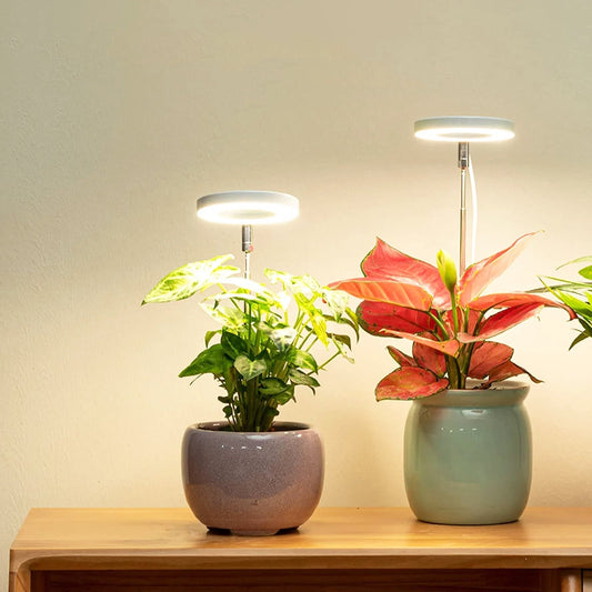 PlantGlow - Justerbar LED Grow Lampa för blomstrande inomhusväxter