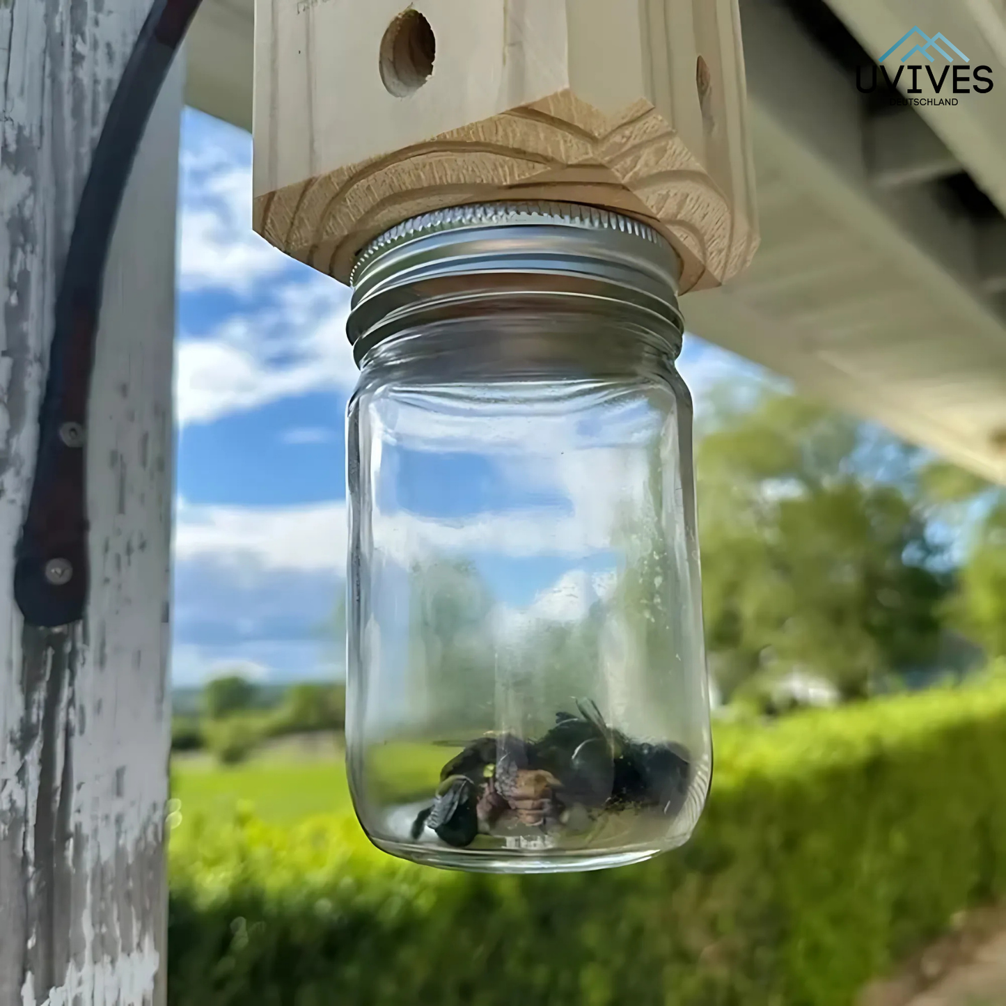 Carvallo – Naturligt skydd för ditt trä!