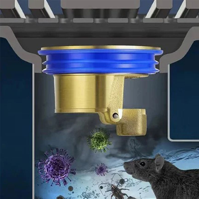 Carvallo | DrainGuard – Sluta med stink och stopp!