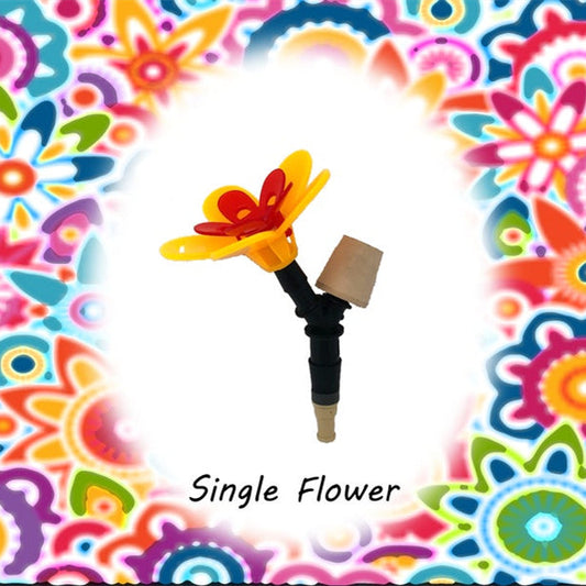 Carvallo – Den smarta baren för kolibrier!