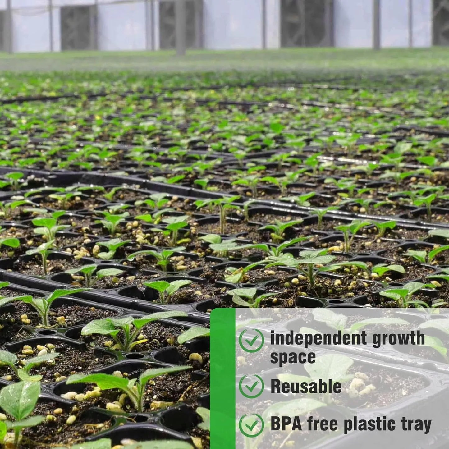 Rektangulär växtskål – såddskål för effektiv groning och tillväxt av plantor
