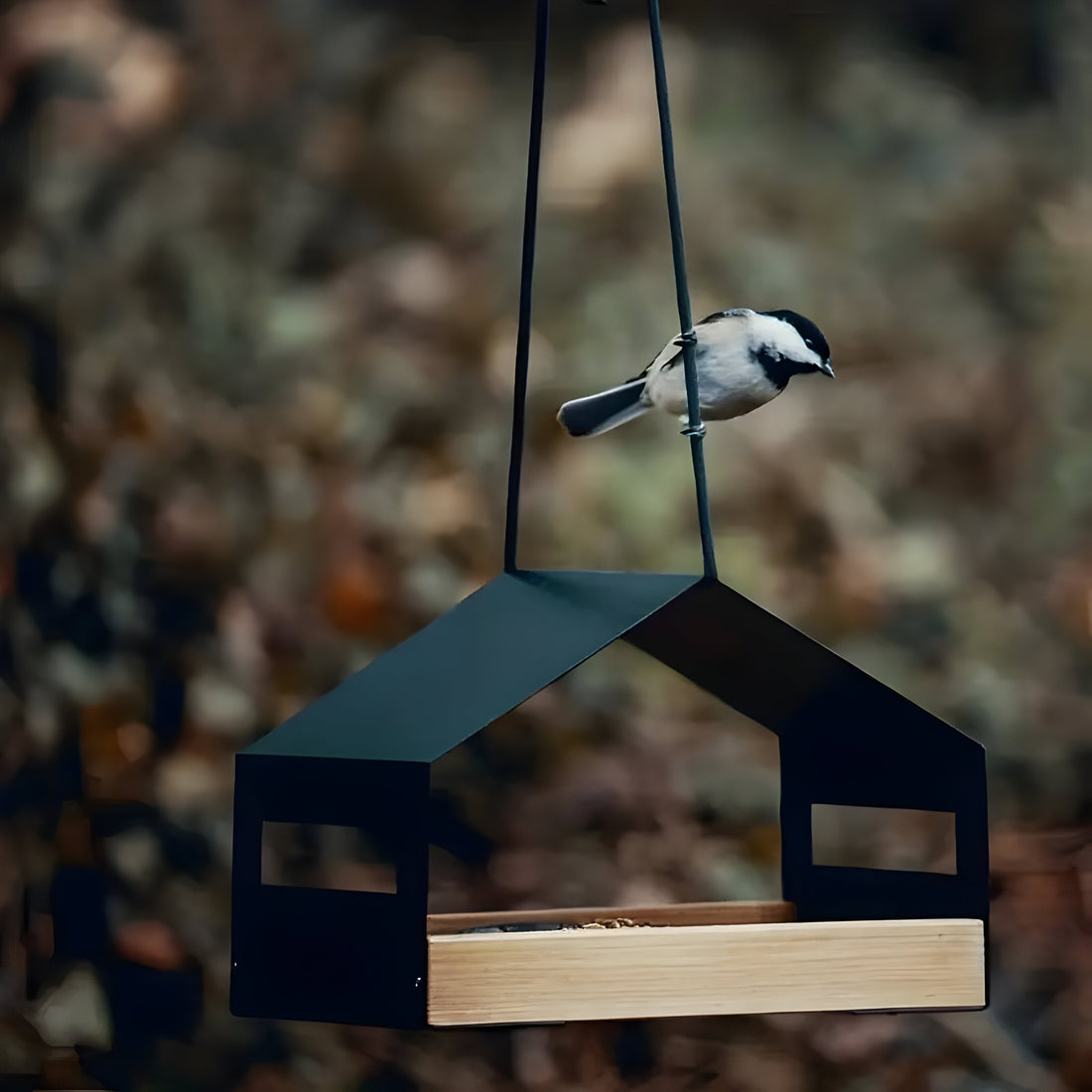 TweetWood Bo | Elegant Hängande Fågelhus