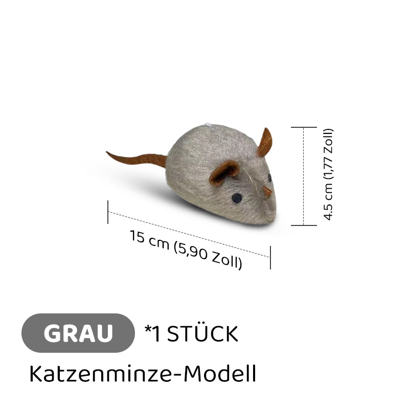Carvallo | PawChase – Jaga, spela, jaga kul för din katt!