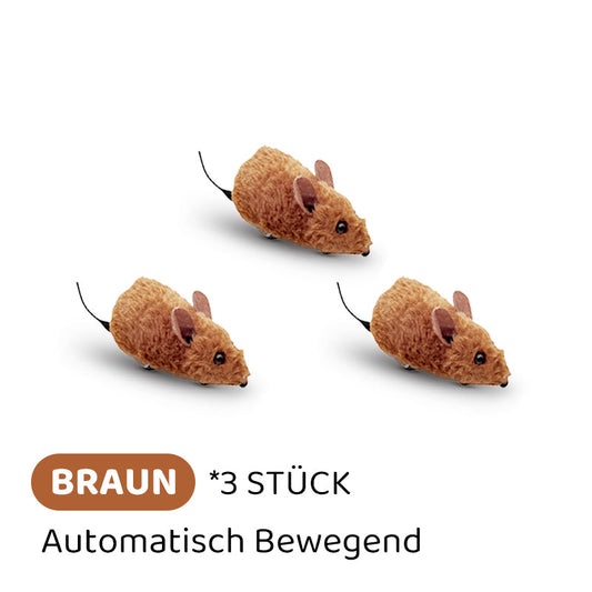 Carvallo | PawChase – Jaga, spela, jaga kul för din katt!