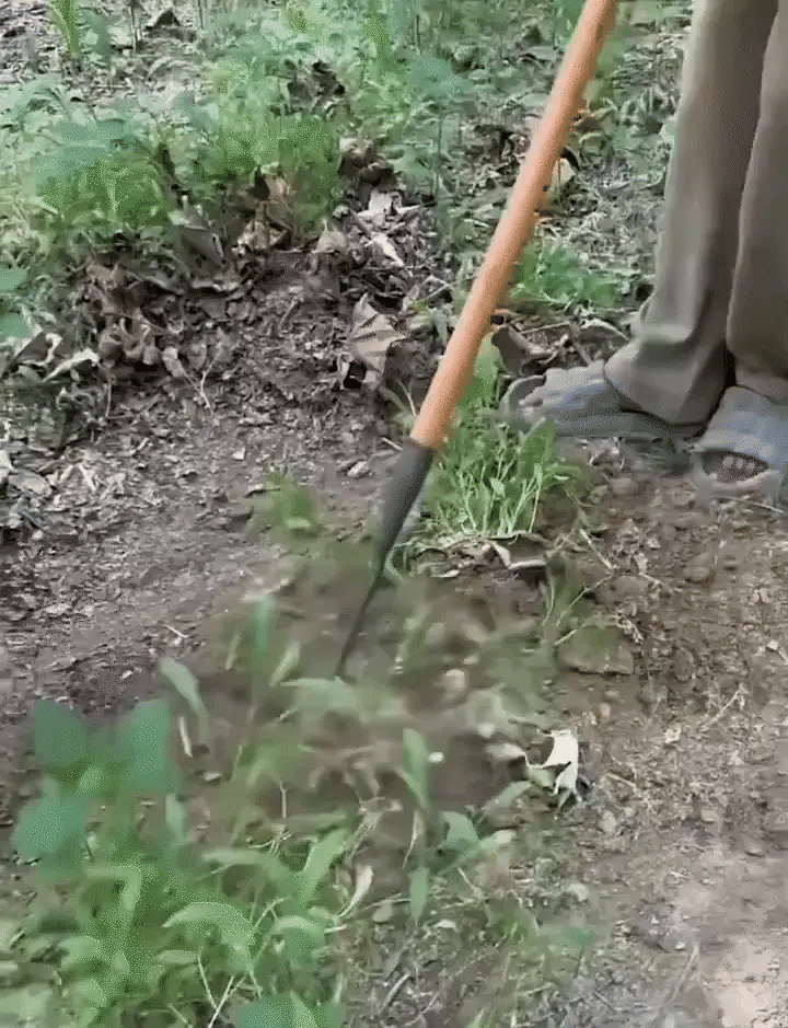 Luxora Mångsidiga Handtag Raker För Gräsmatta med Anpassade Huven