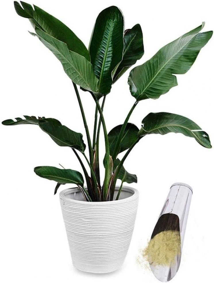 Rostfritt stålspade för blomjord – Robust planteringsspade för trädgård och balkong