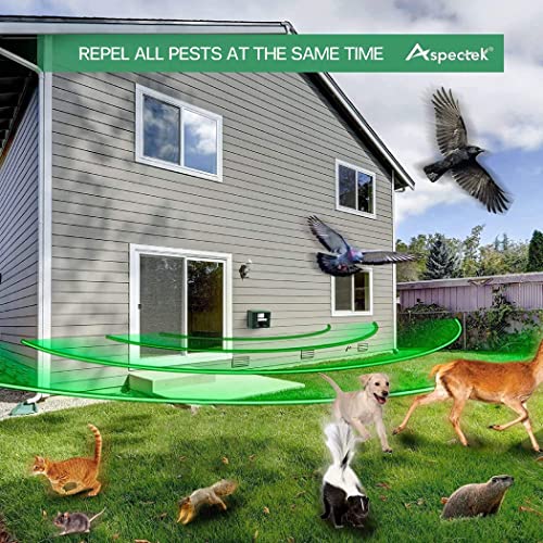 Royaleva Woodpecker Ultrasonic Repeller för effektiv fågelkontroll - Bli av med hackspettar