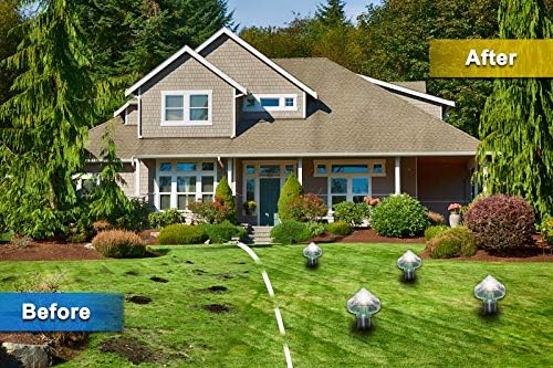 Solardriven djuravvisare för trädgård och gård – Miljövänligt skydd mot möss och gnagare