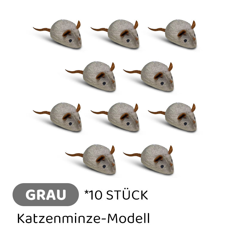 Carvallo | PawChase – Jaga, spela, jaga kul för din katt!