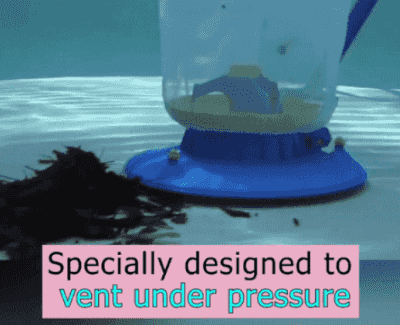 Royaleva Automatisk Poolstädare för Löv och Skräp