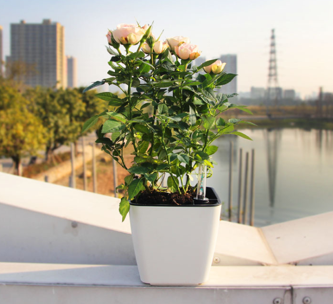 Blomkruka med bevattningssystem – Självbevattnande blomkruka för inomhus- och utomhusbruk