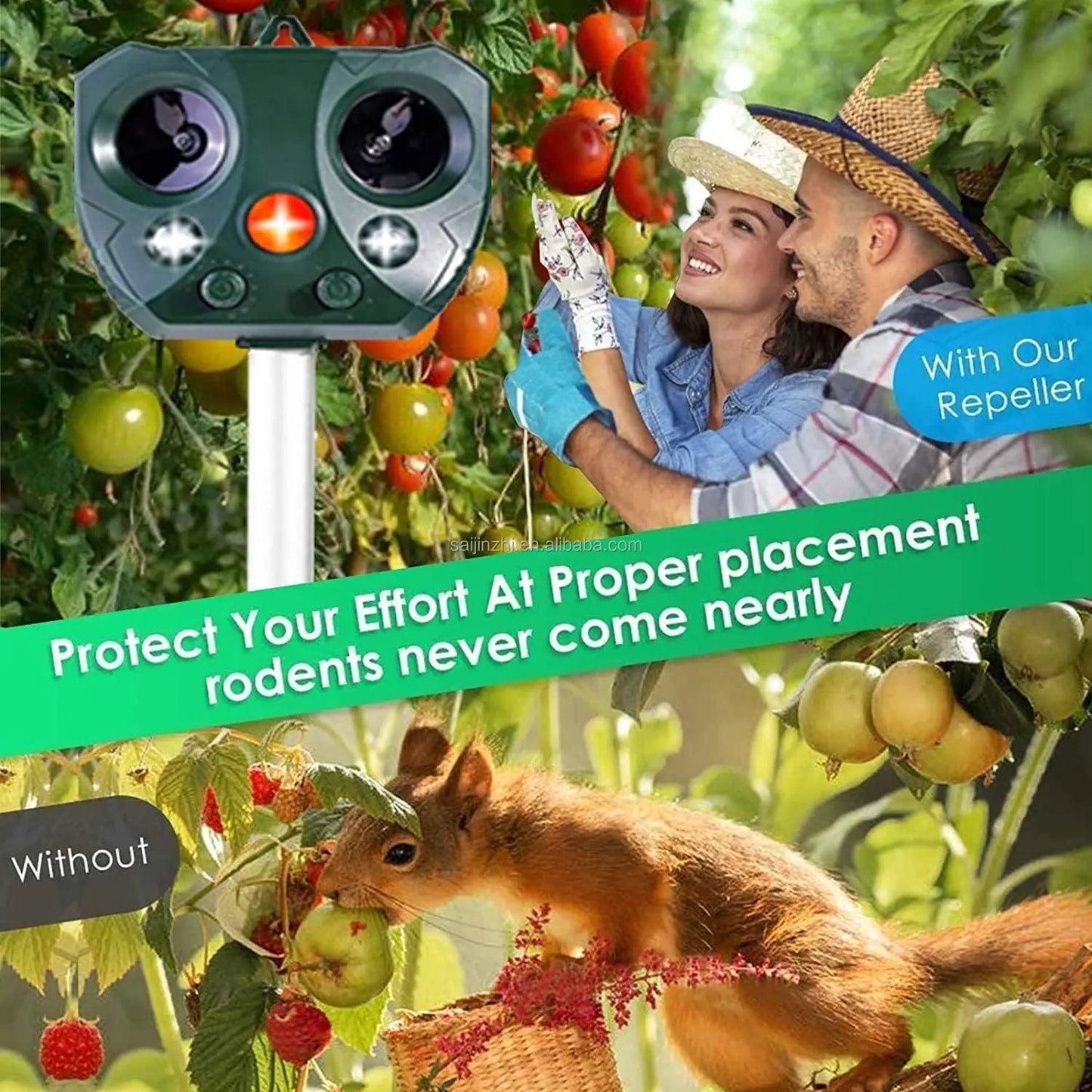 Ultrasonic Fågel & Skadedjursförsvar