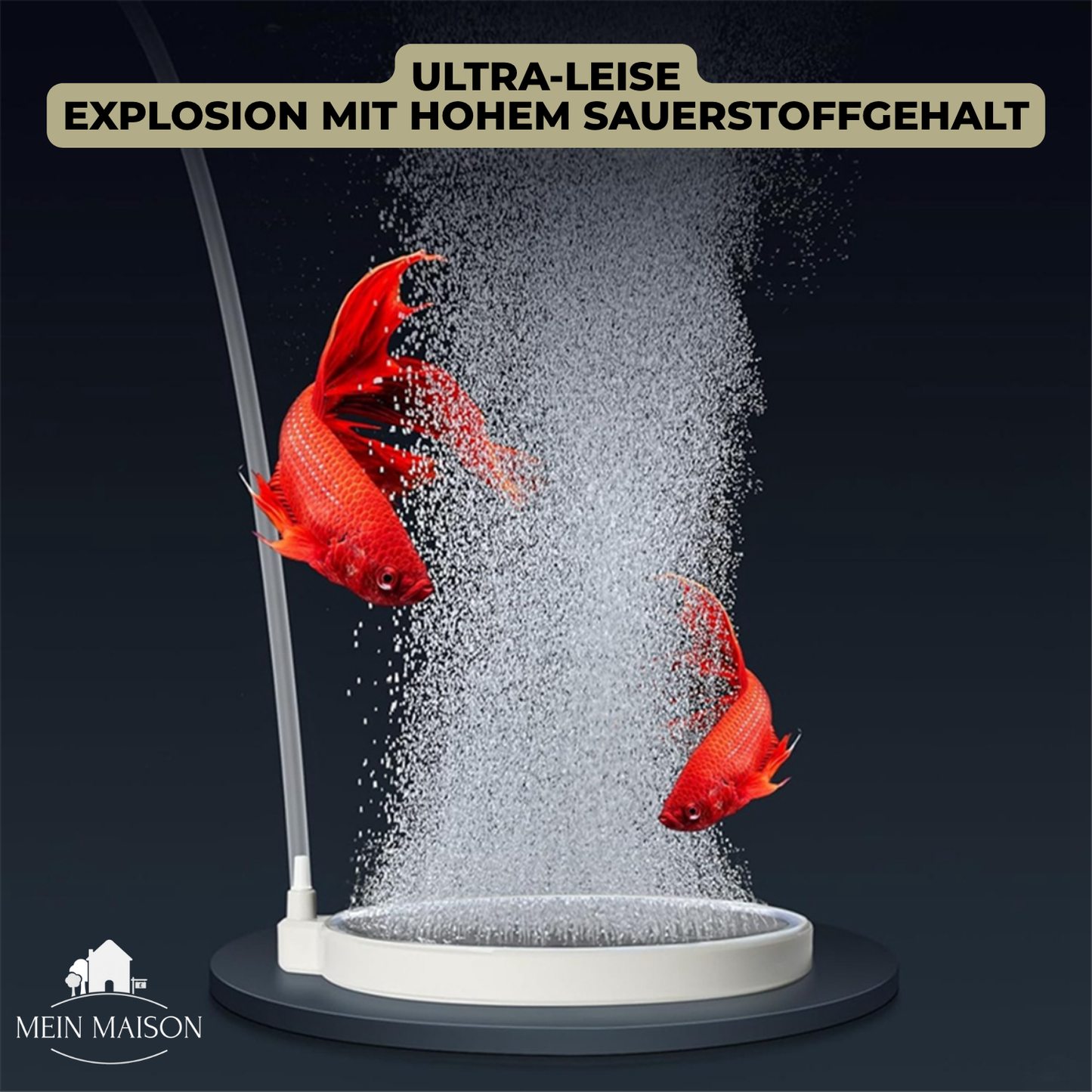 Carvallo Nano – Tyst frisk luft för ditt akvarium