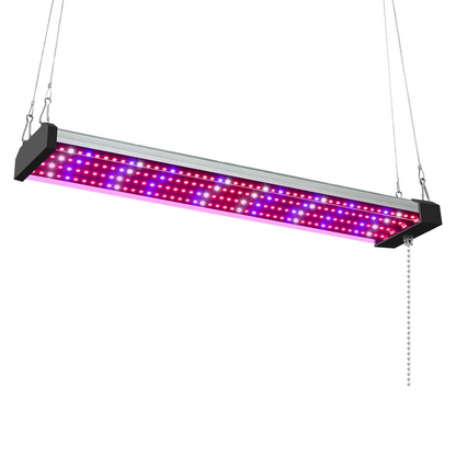 LED växtlampa med fullspektrum-belysning och dragknapp för optimal växttillväxt
