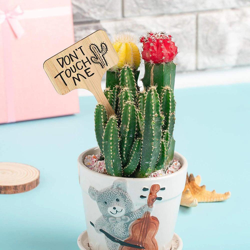 Carvallo – Växtskyltar av bambu för trädgård & dekoration