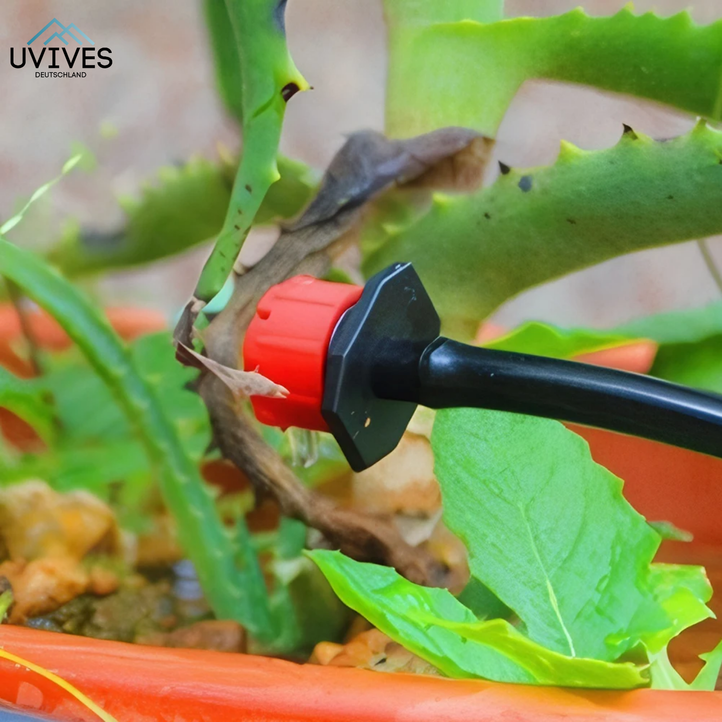 Carvallo – Droppbevattning gjort enkelt (100-pack)