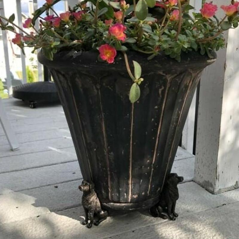 Carvallo | PottyLift - Söta pottfötter i djurform