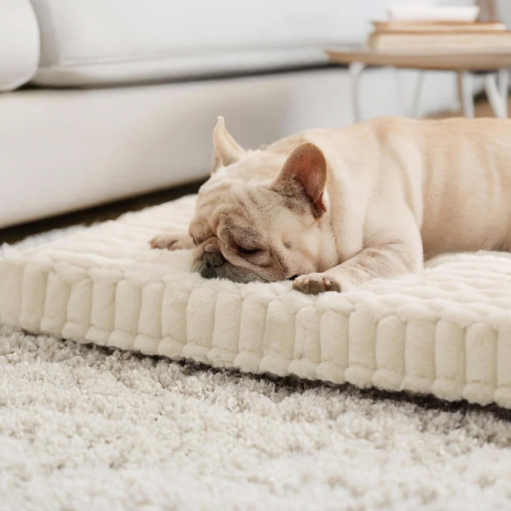 Faux Kaninpäls Ortopedisk Hundsäng Ultra Mjuk Varm Stödjande