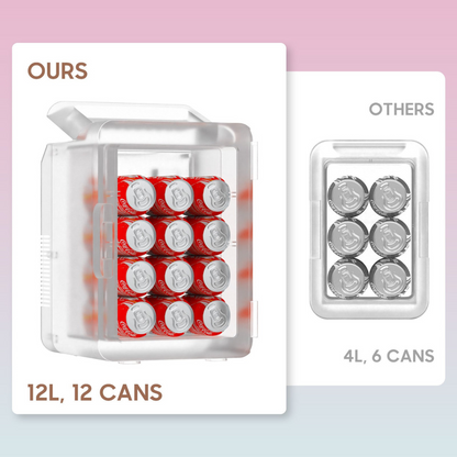 Mini Kylskåp Spegeldörr Portabel 12L Kylare