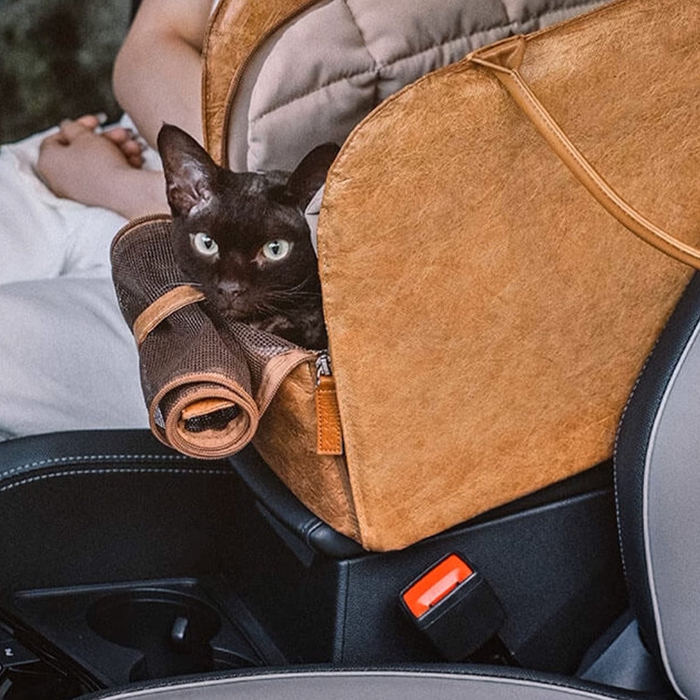 Bärbar Husdjurs Resväska – Lätt, Andningsbar & Säker för Små Husdjur