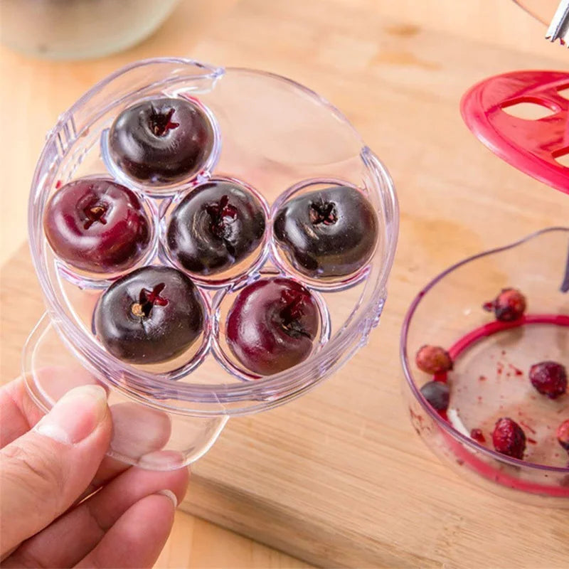 Carvallo - Kirschentkerner