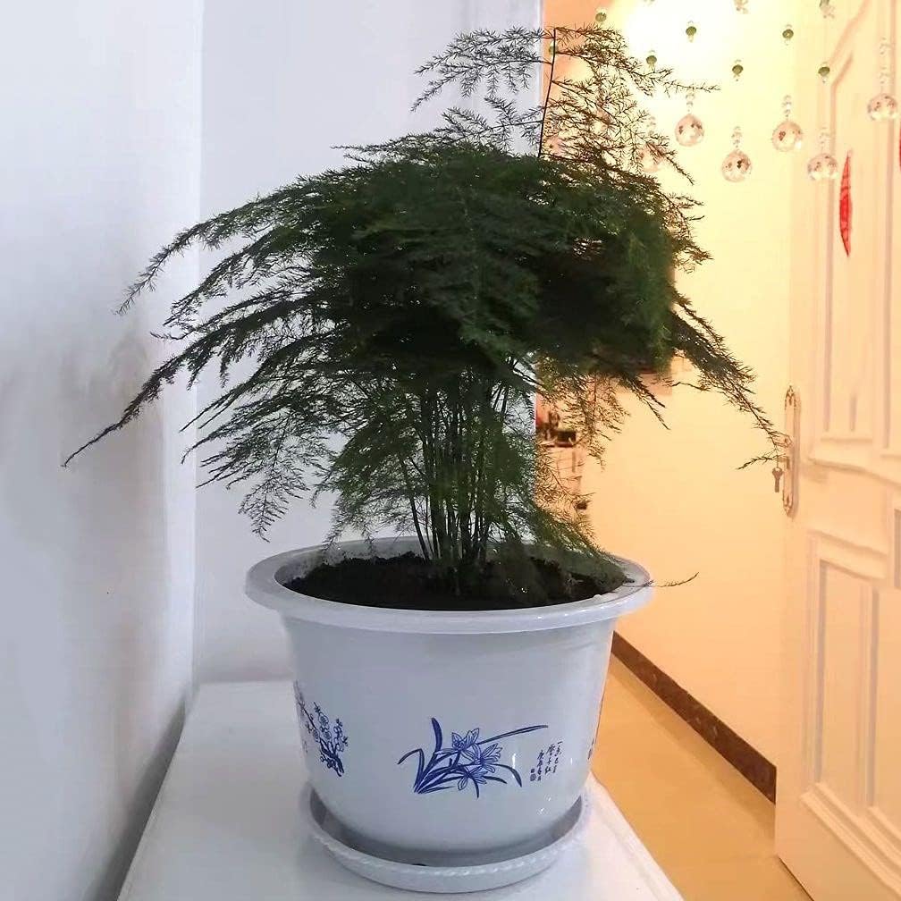 Blomkruka i plast med bambumotiv – Elegant planteringskruka för balkong och trädgård