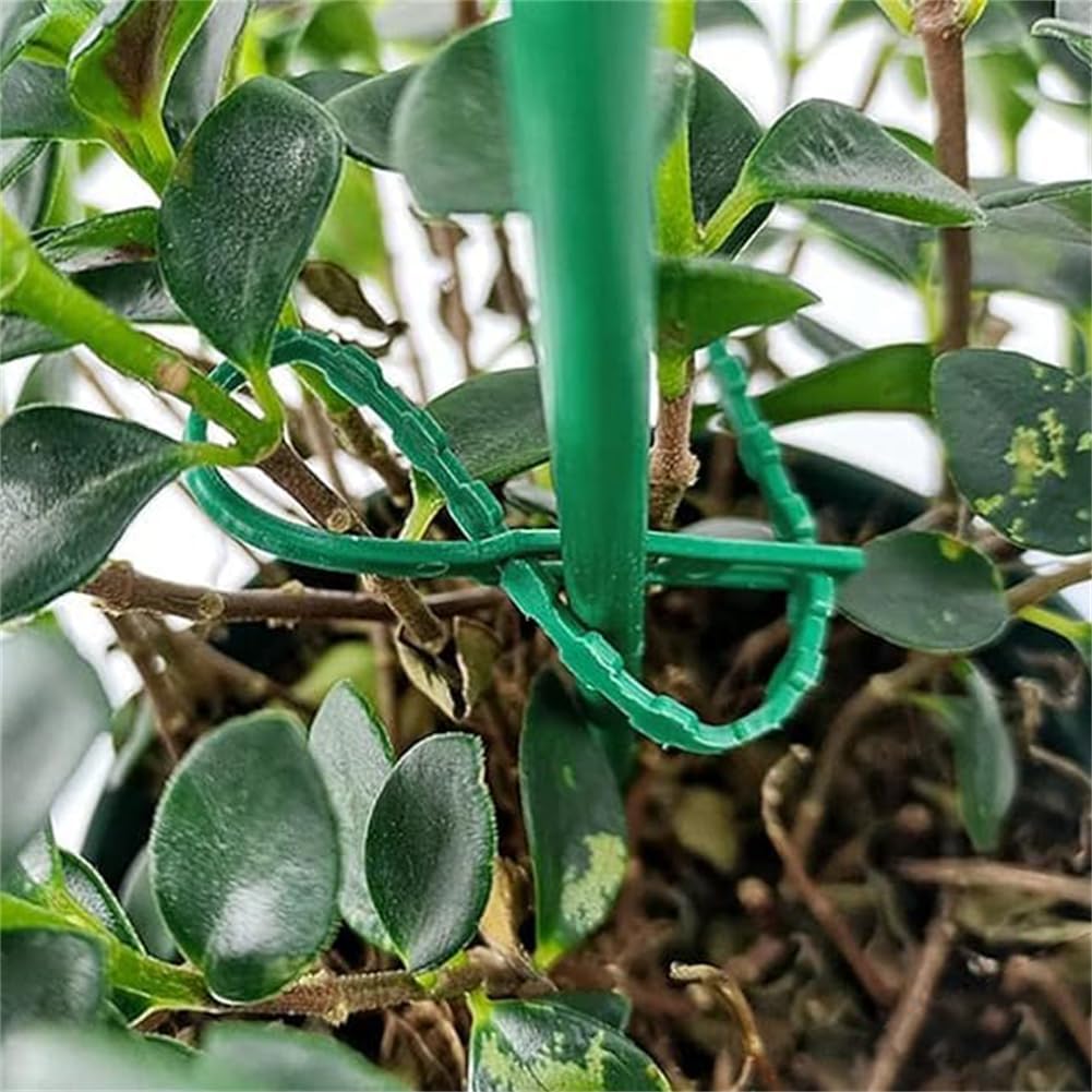 Plantbindning Kabelbinder Set för stabil fästning av växter