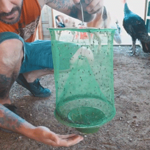 Royaleva Miljövänlig Stabil Fluggång för Utomhusbruk