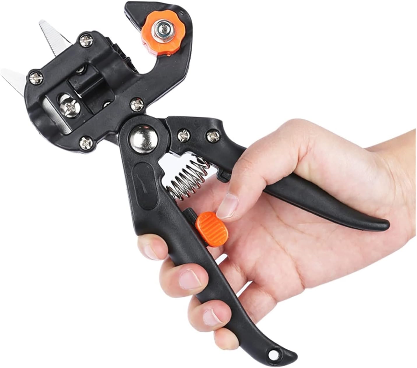 Graft- och beskärningsverktygs-set för exakt växtförädling