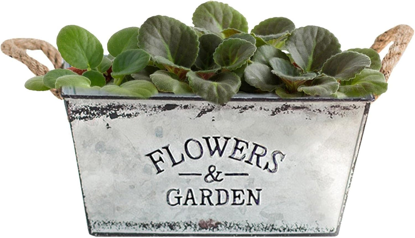 Dekorativ blomster- och trädgårdsbehållare i metall med hampasnörehandtag