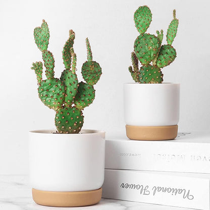 Självbevattnande blomkruka för orkidéer och växter – Plastplanteringskärl