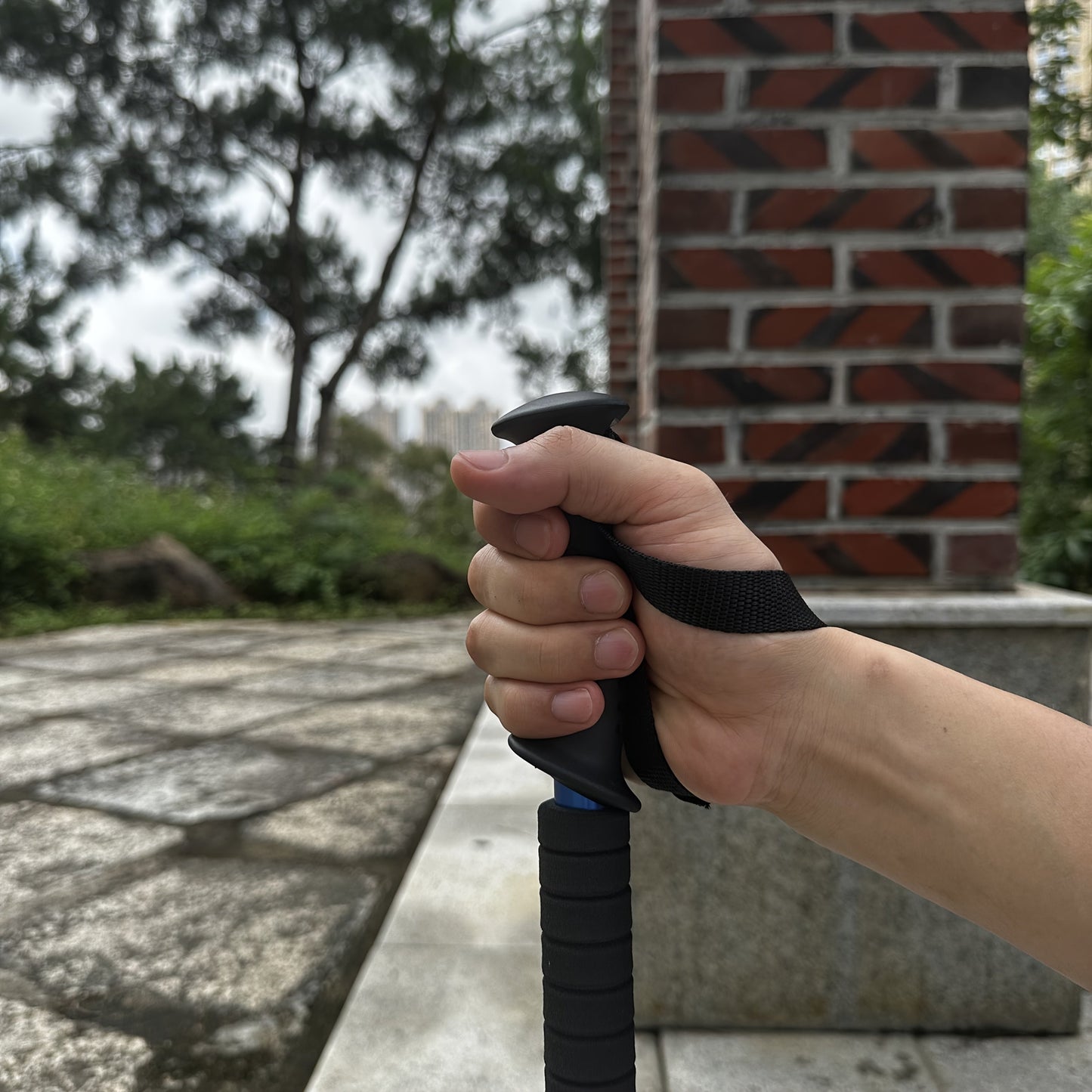 Carvallo Alptrail Duo | Justerbar & Stötdämpande | Ultralätt aluminium | 65–135 cm