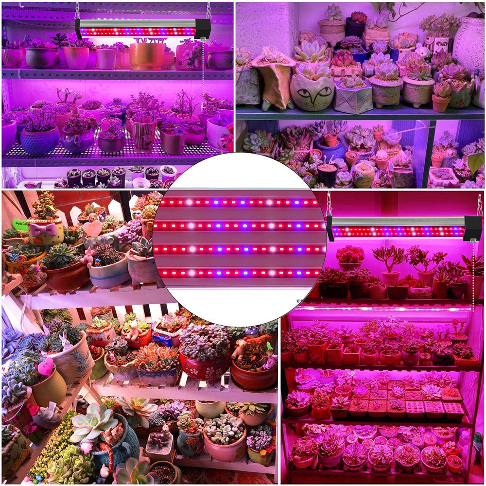 LED växtlampa med fullspektrum-belysning och dragknapp för optimal växttillväxt