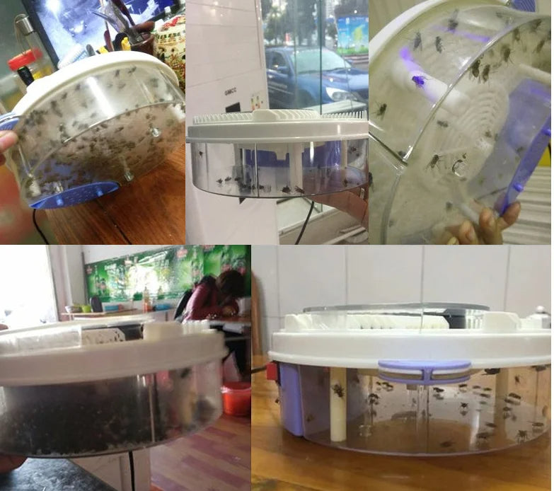 BuzzOff | FlyFree – Världens Bästa Flugefälla