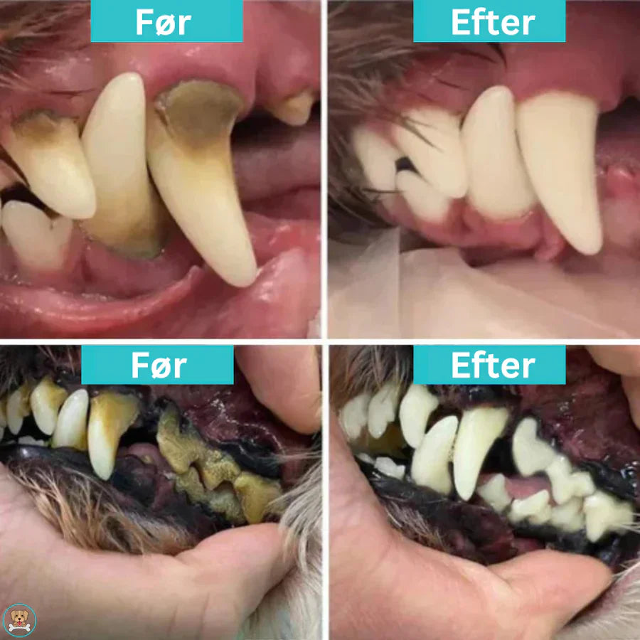 PureSpark – Komplett munhygienset för hundar med justerbar intensitet