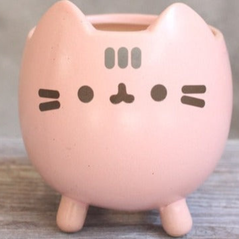 PurrNest – Låg syrlig kattformad planteringslåda med unikt design