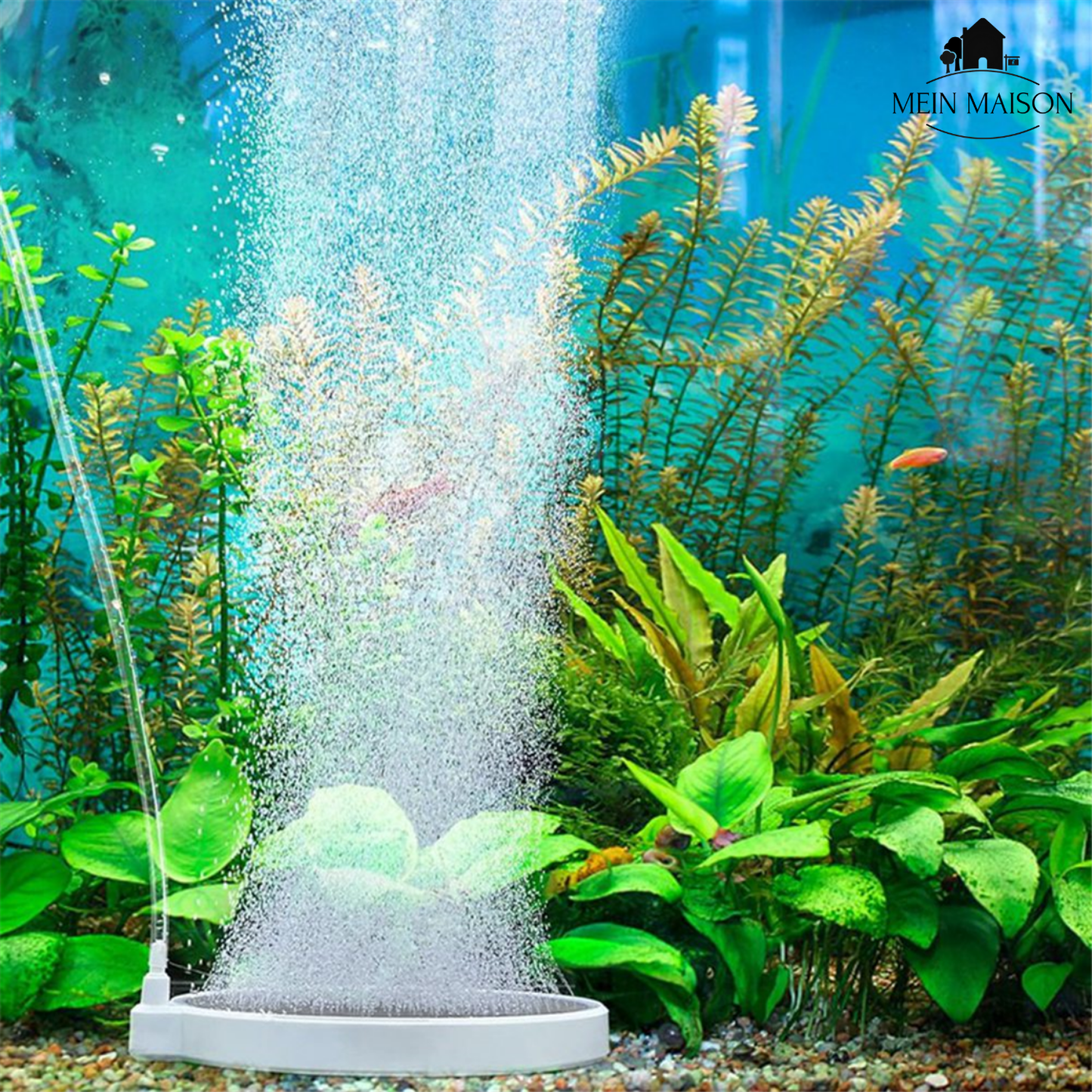 Carvallo Nano – Tyst frisk luft för ditt akvarium