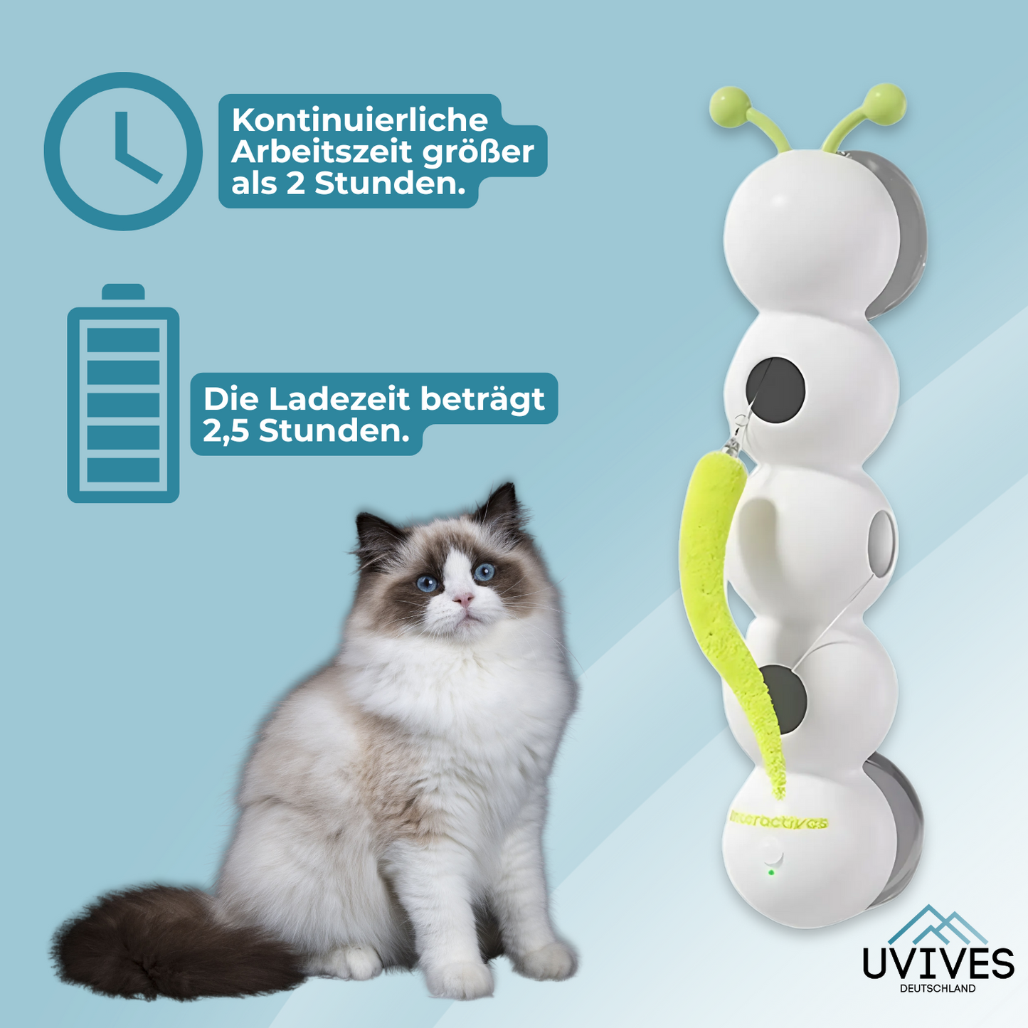 Carvallo – Jaga, leka, vara lycklig!